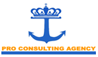 Pro Consulting Agency